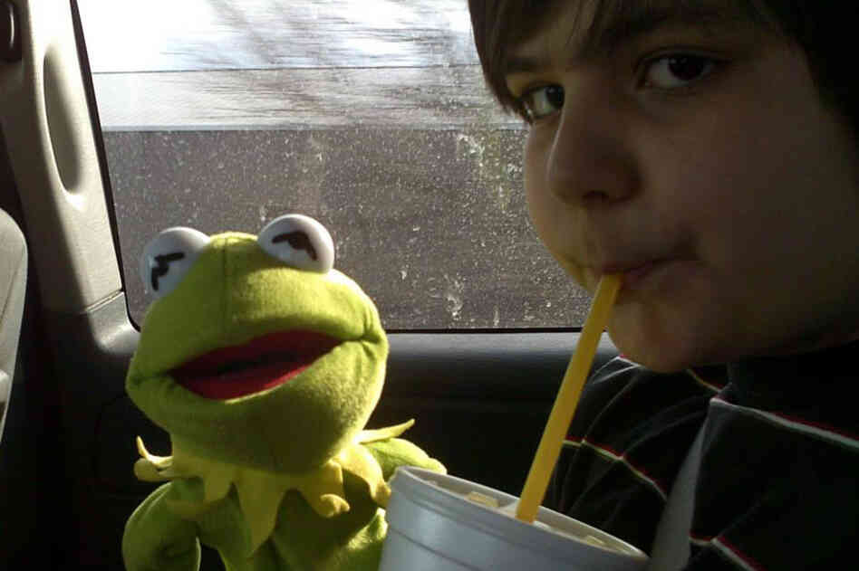 Matthew Cerezo, 6: His dad writes: Matthew received a camera for Christmas last year. He took this photo of his brother David while on the road to Chicago. Matthew and David both love the Muppets.