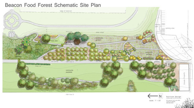 If all goes well in the food forest's 2-acre trial plot, the whole 7-acre park will look something like this.