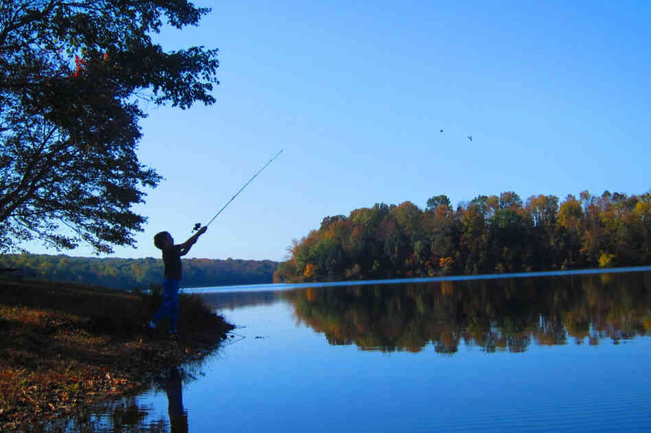 Carolina Fraser, 11: This picture is special to me because it shows one of my favorite places, Green Lane, Pa., and my brother, Perry, fishing, which is one of my favorite things to do.
