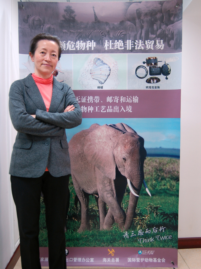 The price for raw elephant tusks in China has tripled in the past year because of growing demand, according to Grace Gabriel, the Asia regional director for the International Fund for Animal Welfare. 