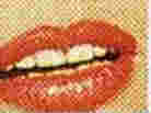 book cover detail 