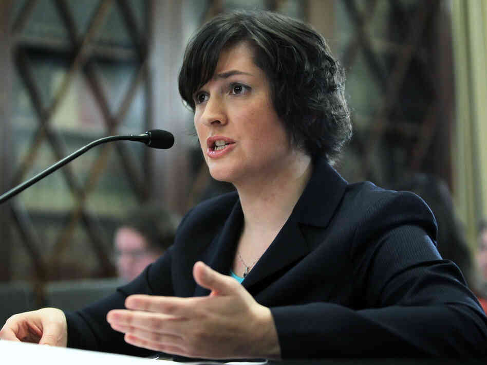 Law student Sandra Fluke talking to House Democrats, February 23, 2012.