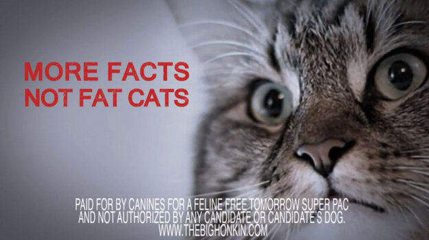 Not even pets can hide from the political caterwauling; a superPAC has attacked the candidacy of Hank the Cat.