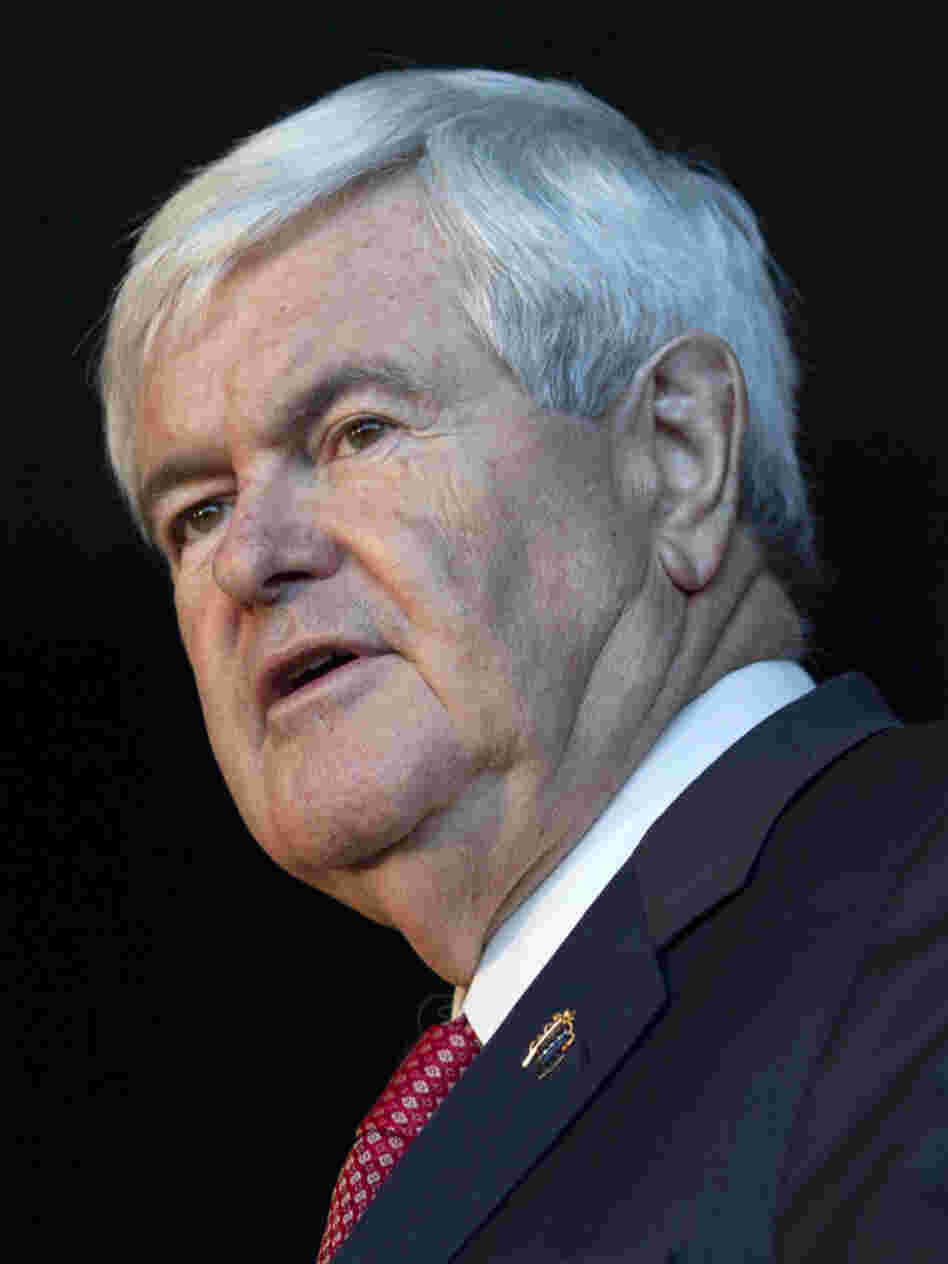 Newt Gingrich.
