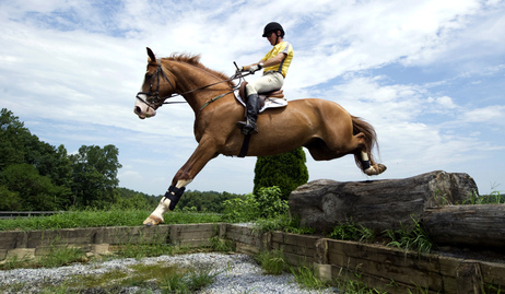 U.S. Olympic Equestrian rider Phillip Dutton jumps with Zeizos in West Grove, Pa., in this 2010 photo. Dozens of horses will fly from America to England for the 2012 Summer Olympics. U.S. Olympic Equestrian rider Phillip Dutton jumps with Zeizos in West Grove, Pa., in this 2010 photo. Dozens of horses will fly from America to England for the 2012 Summer Olympics.