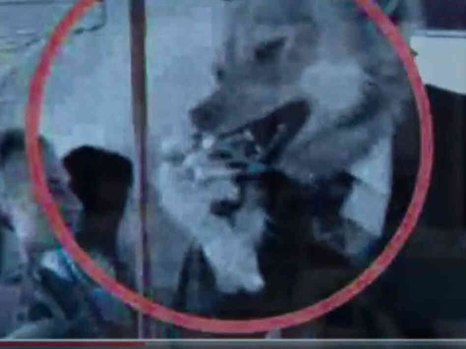 Wolf with inhaler