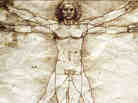 A reproduction of Leonardo da Vinci's drawing of The Vitruvian Man.