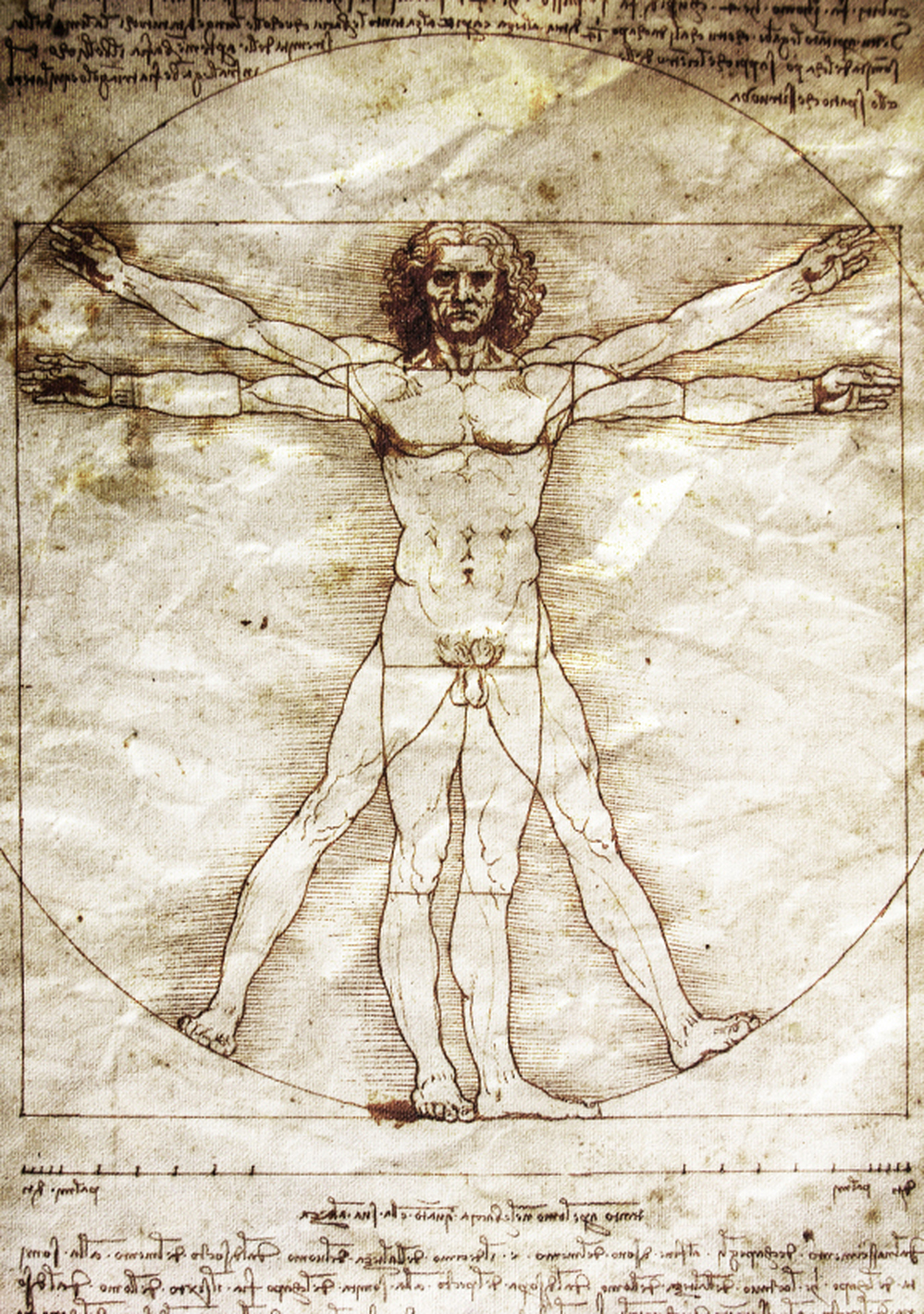 A reproduction of Leonardo da Vinci's drawing of The Vitruvian Man.