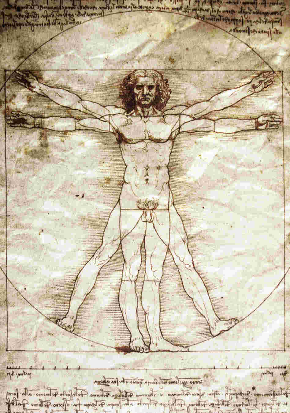 A reproduction of Leonardo da Vinci's drawing of The Vitruvian Man.