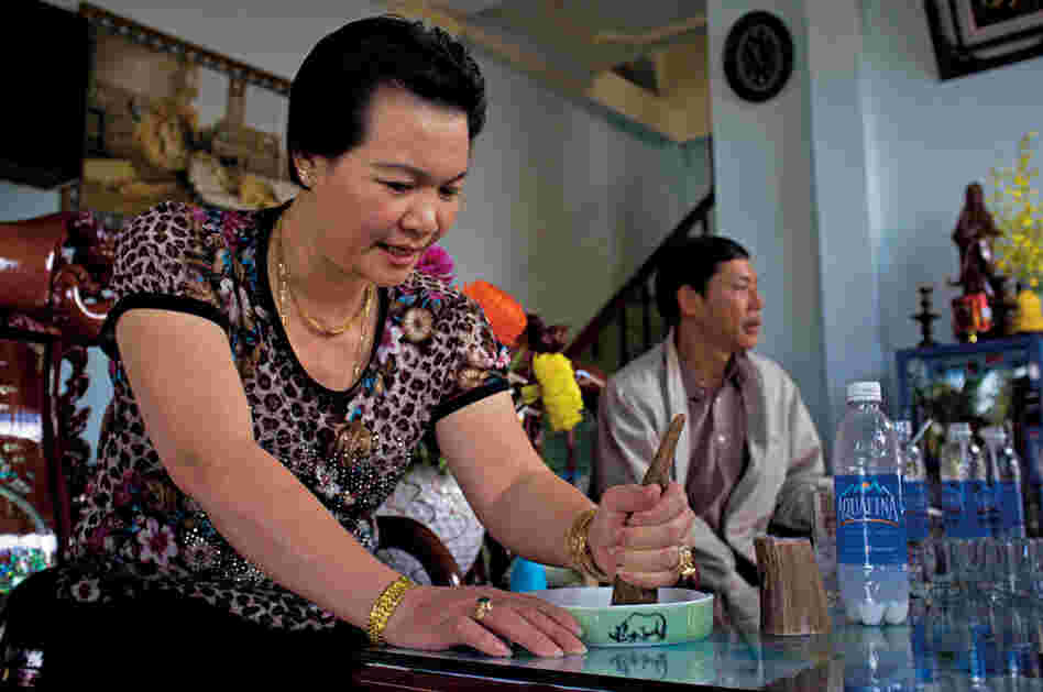 A woman grinds a piece of rhino horn in a Vietnamese cafe. By adding a little water and rubbing the horn over the dish's sandpaper-like bottom, she creates a solution that many Asians believe is a super-vitamin and a cure for various maladies. Few scientific studies have been conducted on rhino horn's medicinal benefits, and the results have been inconclusive.