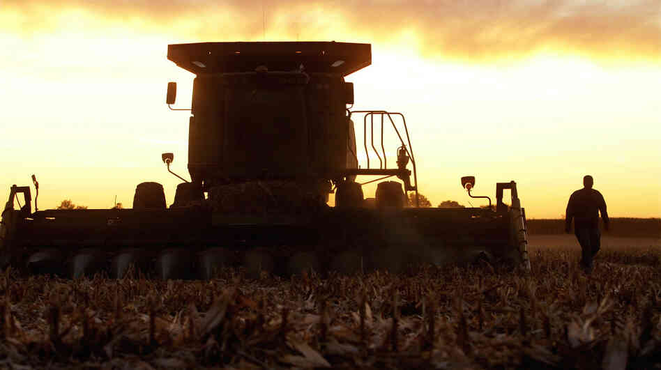 An Illinois farmer checks the blades on his combine while harvesting corn last October. The value of the 2011 U.S. corn crop was more than $76 billion. An Illinois farmer checks the blades on his combine while harvesting corn last October. The value of the 2011 U.S. corn crop was more than $76 billion.