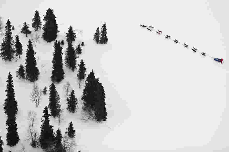 A musher heads into the Finger Lake checkpoint in Alaska on March 5. 