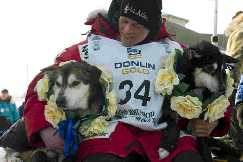 Dallas Seavey holds his leaders, Diesel (left) and Guinness, after arriving at the finish line to claim victory in the Iditarod Trail Sled Dog Race. At 25, Seavey is the youngest Iditarod champion ever. 