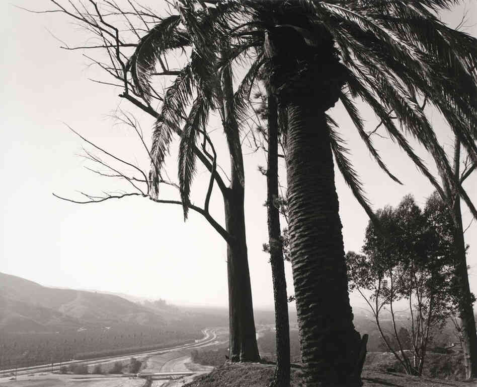 Edge of San Timoteo Canyon, looking toward Los Angeles, Redlands, California, 1978