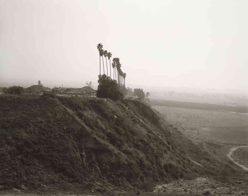 New development on a former citrus-growing estate, Highland, California, 1983 New development on a former citrus-growing estate, Highland, California, 1983