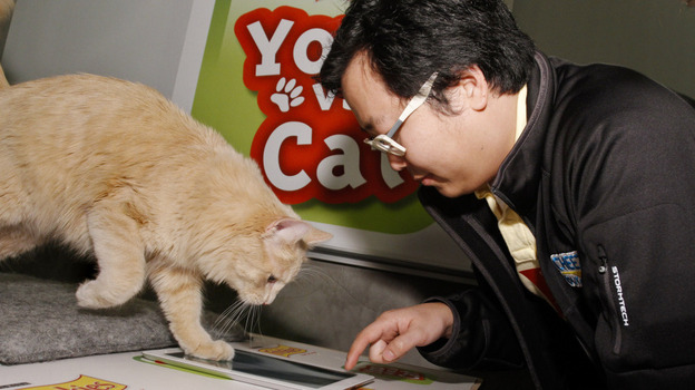 In this photograph taken by AP images for Friskies, Ben Huh, of I Can Haz Cheezburger, challenges topcat gamer Buddy to a match of Friskies "You vs. Cat" during the SXSW Interactive Festival on Sunday, Mar. 11, 2012.