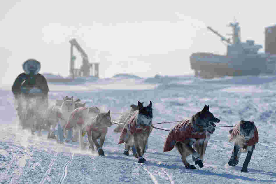 Peter Kaiser drives his team into the checkpoint in Unalakleet, Alaska, on Sunday. 