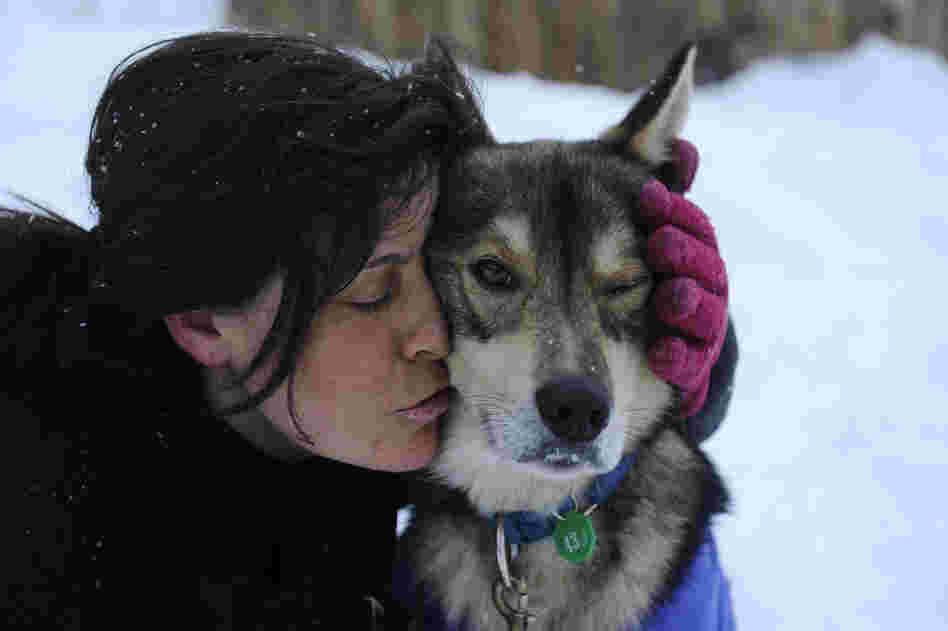 Karin Hendrickson hugs her leader, Hatchet, in Takotna, Alaska, on March 8. 