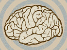 brain illustration brain illustration