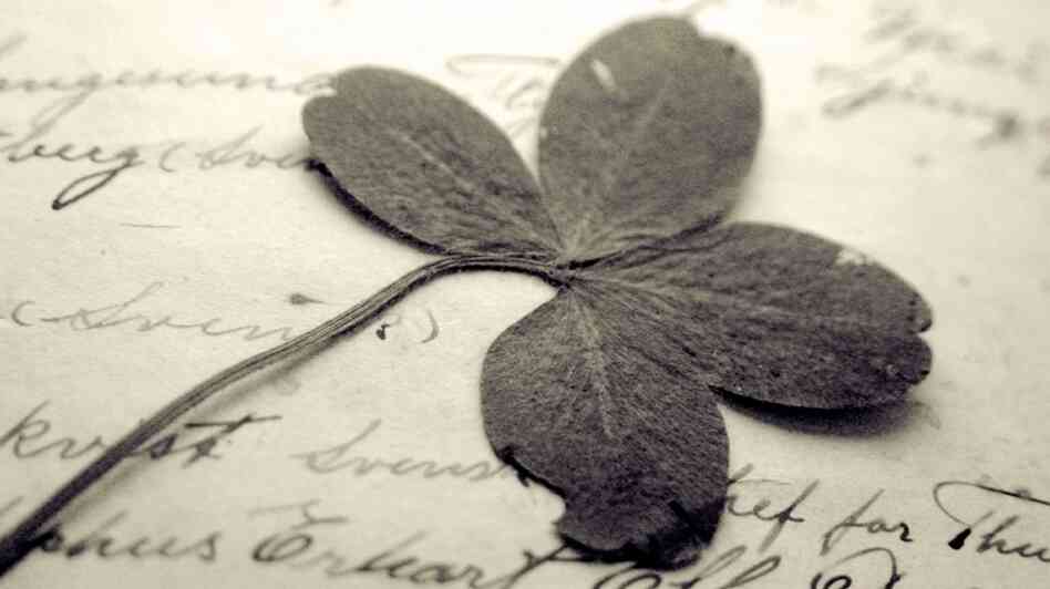 clover detail