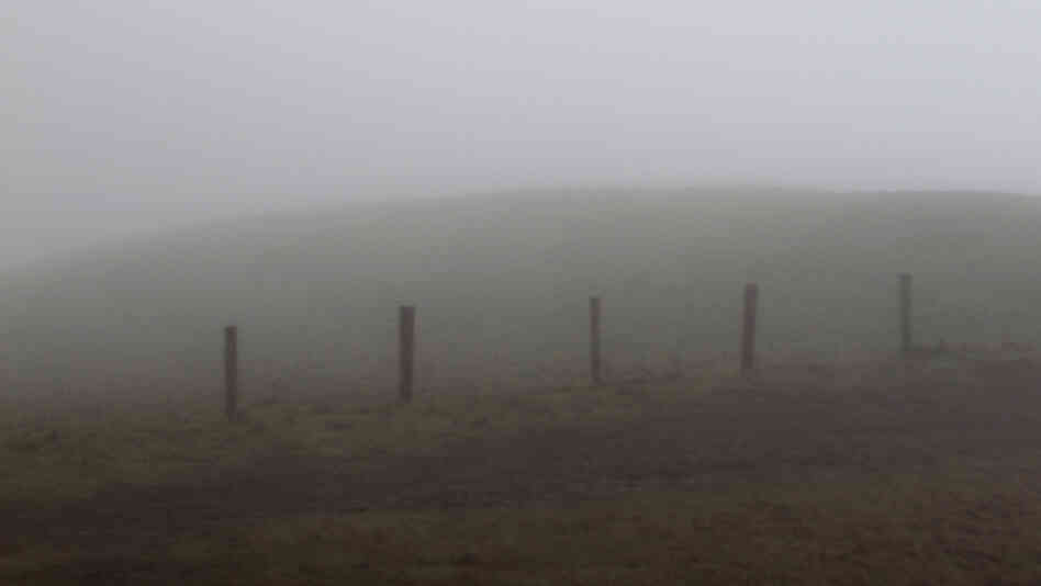 Country fence at the Cliffs of Moher Country fence at the Cliffs of Moher