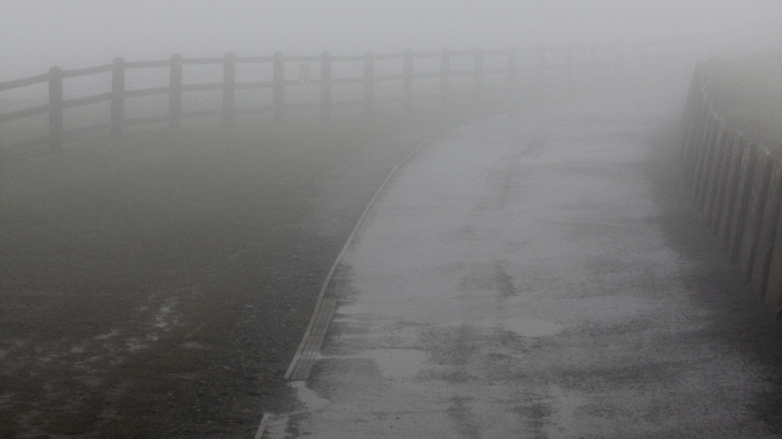 Fog clings to a country road in Ireland.