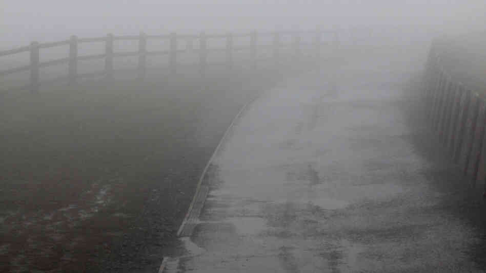 Fog clings to a country road in Ireland.