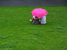 Watching the grass grow Watching the grass grow