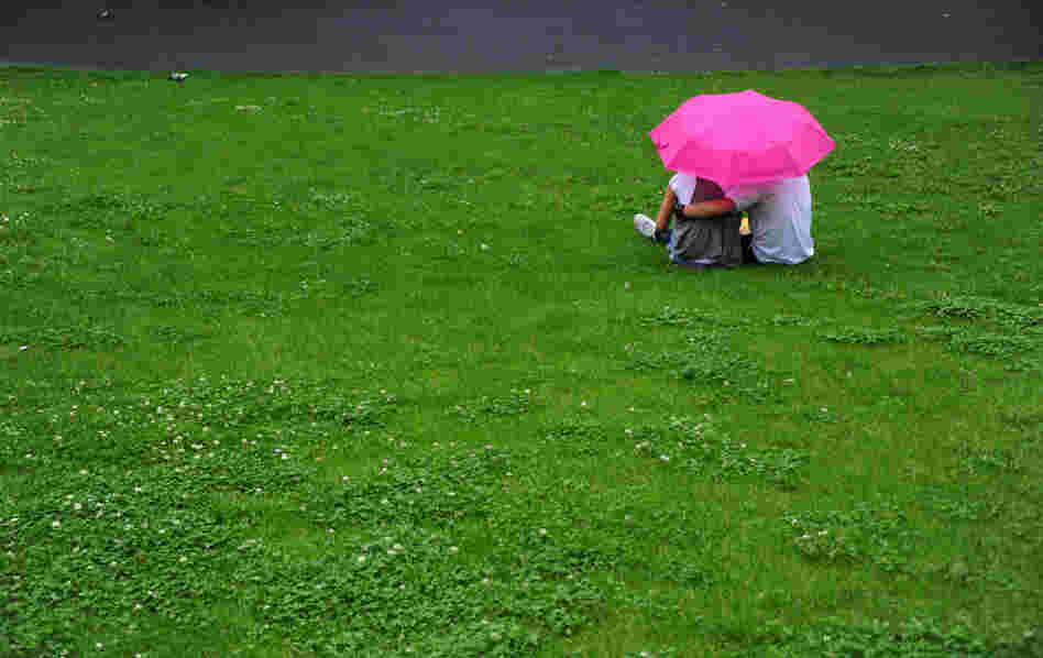 Watching the grass grow