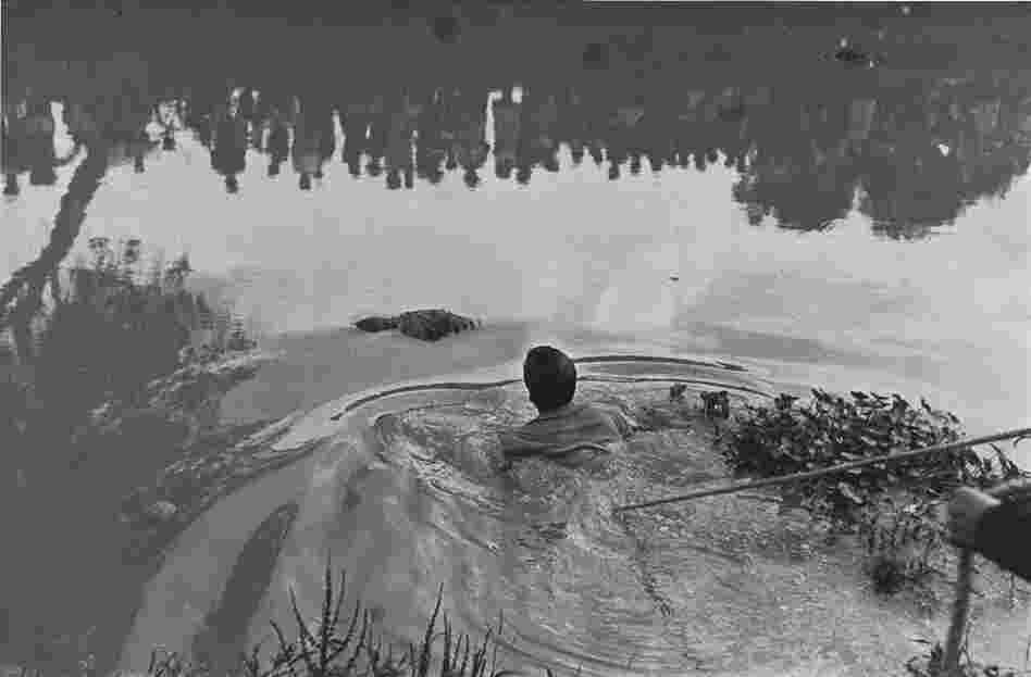Rescate de un ahogado en Xochimilco con publico reflejado en al aqua (Retrieval of a drowned body from Lake Xochimilco with the public reflected in the water), 1960 