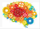 A colorful brain