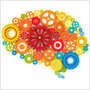 A colorful brain A colorful brain