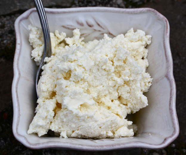 Ricotta