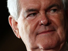 Former House Speaker Newt Gingrich. Former House Speaker Newt Gingrich.