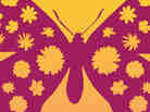Arcadeia cover detail