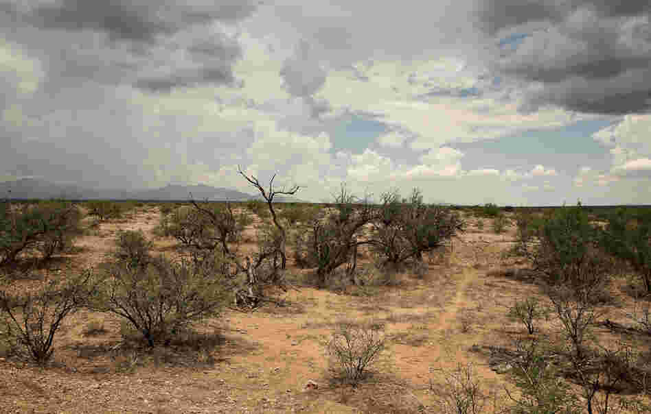 Thousands of people try to cross the desert from Mexico into the United States every year. 