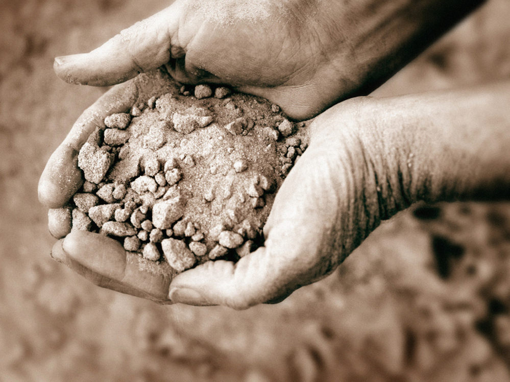 Scientists say biochar can help dry, sandy soils, like the one pictured here, retain water and nutrients.