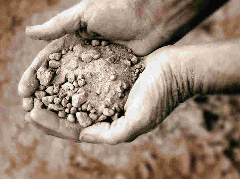 Scientists say biochar can help dry, sandy soils, like the one pictured here, retain water and nutrients.