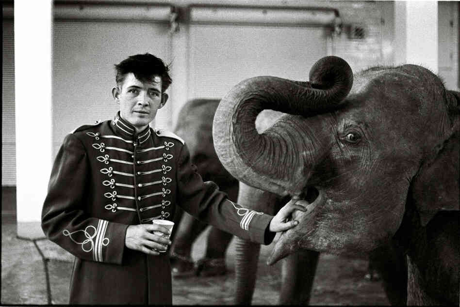 Elephant boy, circus, Atlanta, Ga., 1968