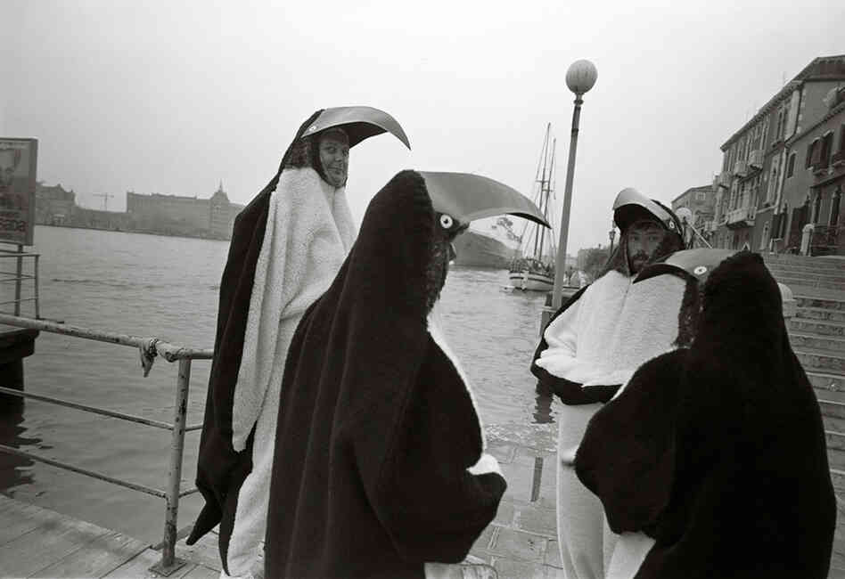 Penguins waiting for a water taxi, Venice, Italy, 1986