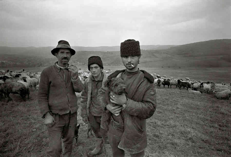 Shepherds, Romania
