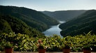 Galicia Galicia
