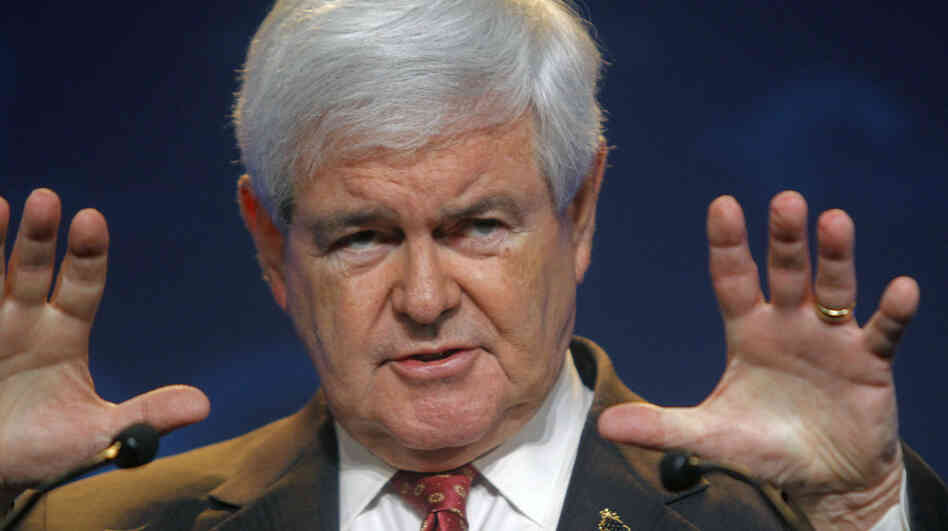 Former House Speaker Newt Gingrich, who wants to the the 2012 Republican presidential nominee, during a campaign event in Camp Hill, Pa., on Saturday (March 24, 2012).