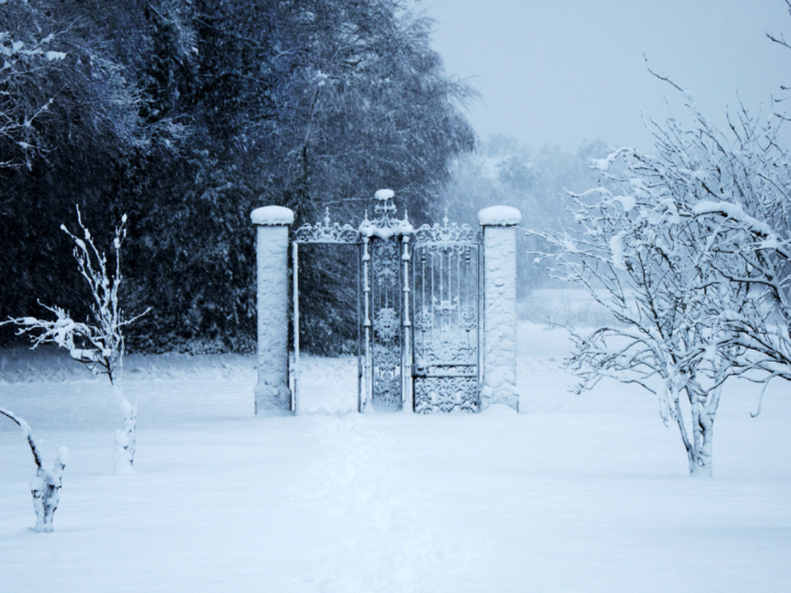 A gate to another world