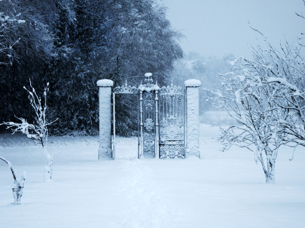 A gate to another world