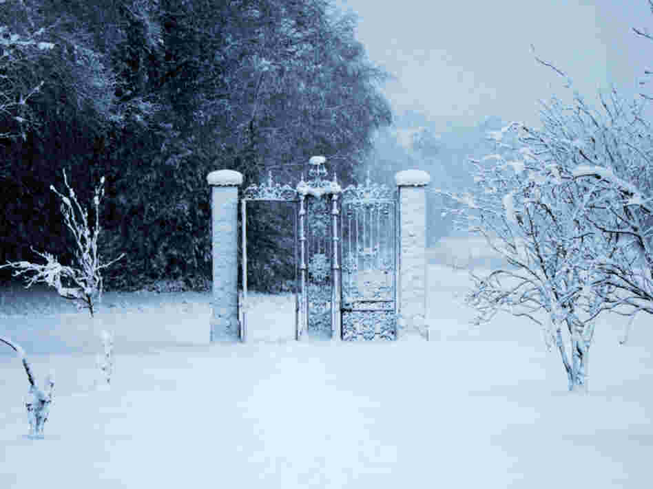 A gate to another world