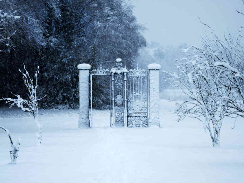 A gate to another world