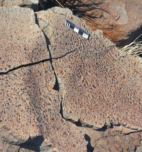 Researchers have analyzed the fossil imprints of of raindrops, like the ones shown here, to study the atmosphere of the Earth, as it was 2.7 billion years ago. The rule at the top is 5 centimeters, or about 2 inches, long.