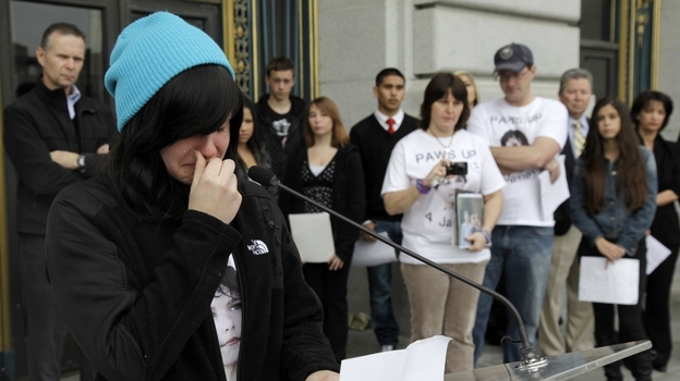 Alyssa Rodemeyer, 16, talks about her younger brother Jamey at an anti-bullying rally in San Francisco. Jamey committed suicide in September 2011 after being bullied. More schools are looking for ways to combat bullying among students. Alyssa Rodemeyer, 16, talks about her younger brother Jamey at an anti-bullying rally in San Francisco. Jamey committed suicide in September 2011 after being bullied. More schools are looking for ways to combat bullying among students.