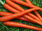 Carrots Carrots